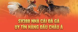 FAQ SV388 và các lời đồn không xác thực