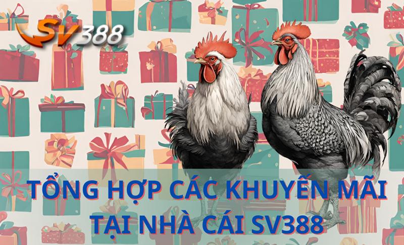 Thưởng nạp lần đầu tại SV388 siêu hấp dẫn