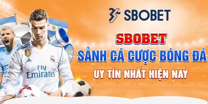 Bóng đá luôn là môn thể thao hot nhất tại Sbobet